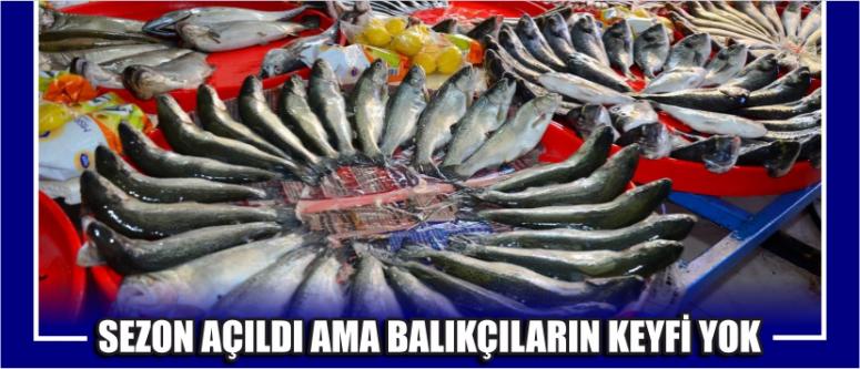 Sezon Açıldı Ama Balıkçıların Keyfi Yok