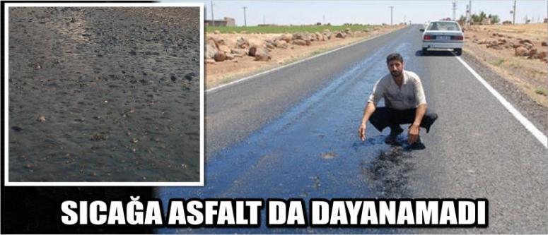 Sıcağa Asfalt Da Dayanamadı