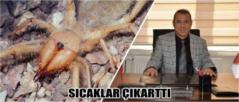  Sıcaklar Çıkarttı