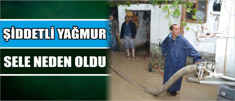 Şiddetli Yağmur Sele Neden Oldu