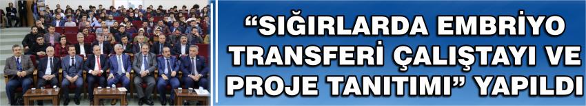 “Sığırlarda Embriyo Transferi Çalıştayı Ve Proje Tanıtımı” Yapıldı