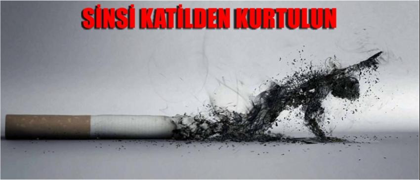 Sinsi Katilden Kurtulun