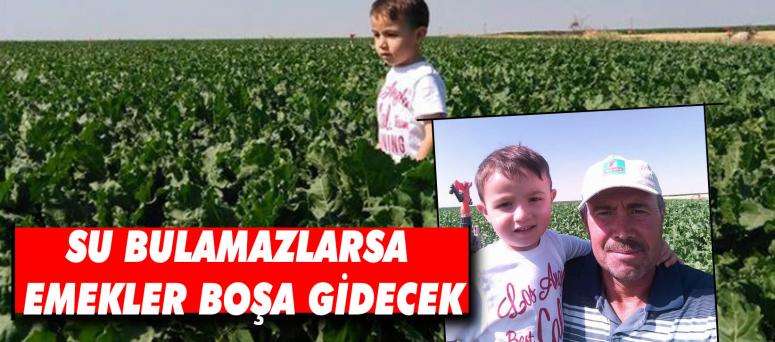 SU BULAMAZLARSA EMEKLER BOŞA GİDECEK