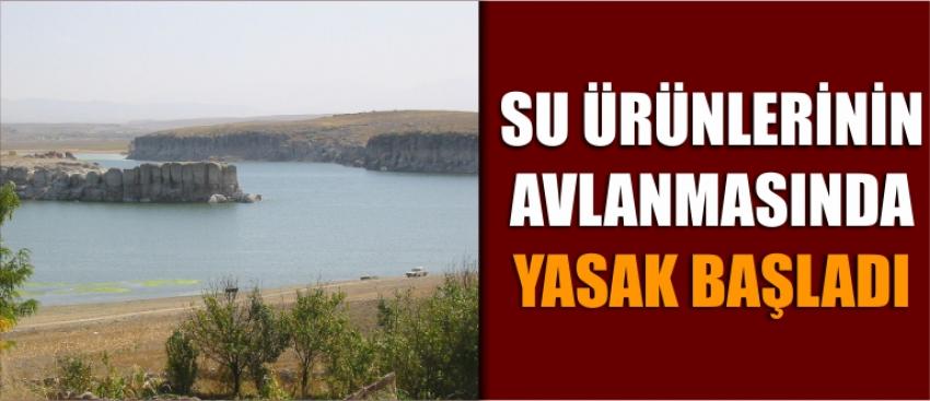 Su Ürünlerinin Avlanmasında Yasak Başladı