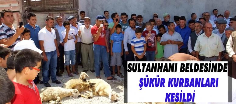 SULTANHANI BELDESİNDE ŞÜKÜR KURBANLARI KESİLDİ