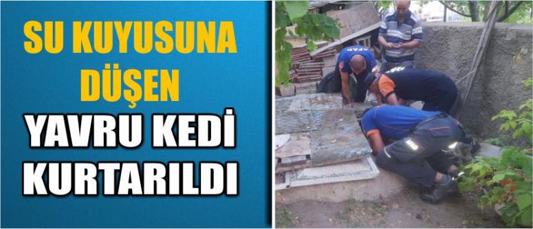 Su Kuyusuna Düşen Yavru Kedi Kurtarıldı
