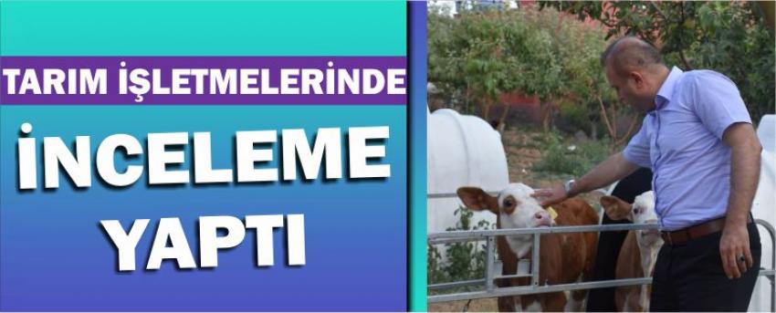 Tarım İşletmelerinde İnceleme Yaptı