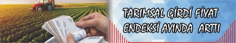Tarımsal Girdi Fiyat Endeksi Mart Ayında Arttı