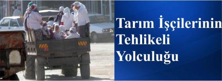 Tarım İşçilerinin Tehlikeli Yolculuğu