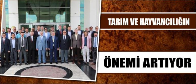 Tarım Ve Hayvancılığın Önemi Artıyor