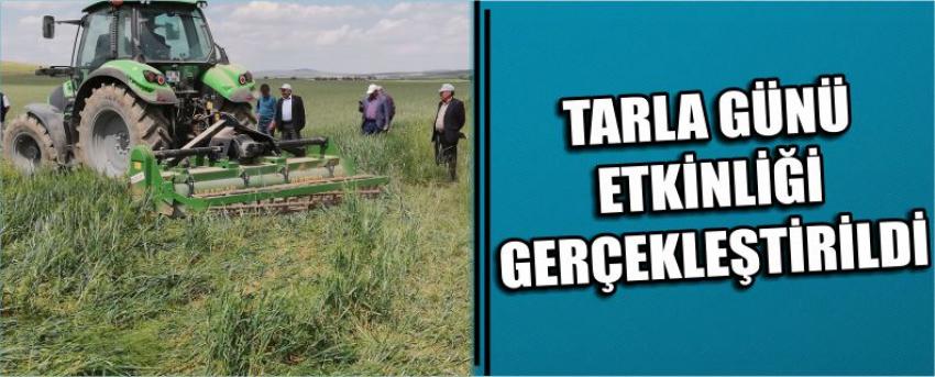 Tarla Günü Etkinliği Gerçekleştirildi