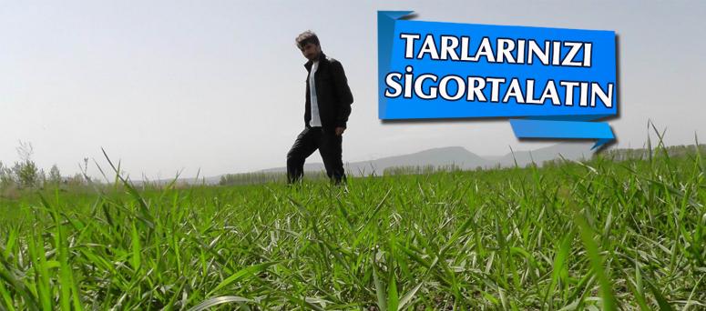 TARLARINIZI SİGORTALATIN
