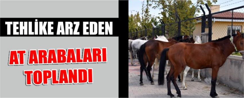 Trafikte Tehlike Arz Eden At Arabaları Toplandı