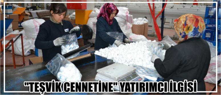 "Teşvik Cennetine" Yatırımcı İlgisi
