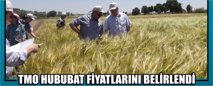 Tmo Hububat Fiyatlarını Belirlendi