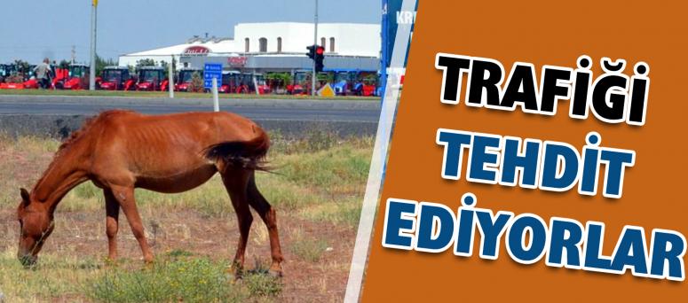 Trafiği Tehdit Ediyorlar