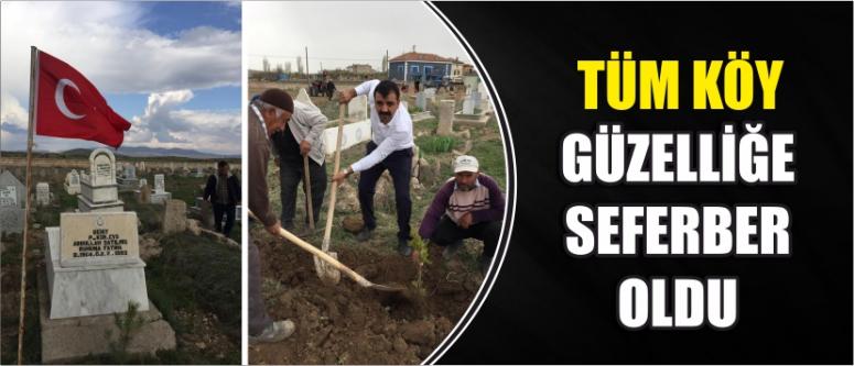 Tüm Köy Güzelliğe Seferber Oldu