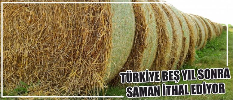 Türkiye Beş Yıl Sonra Saman İthal Ediyor