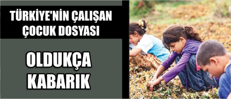 Türkiye’nin Çalışan Çocuk Dosyası Oldukça Kabarık