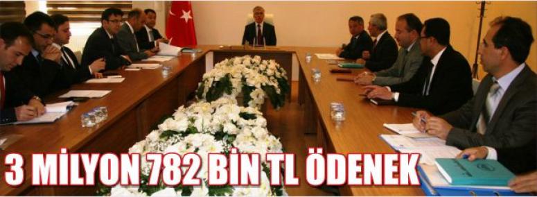3 Milyon 782 Bin Tl Ödenek