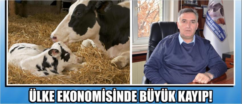 Ülke Ekonomisinde Büyük Kayıp!