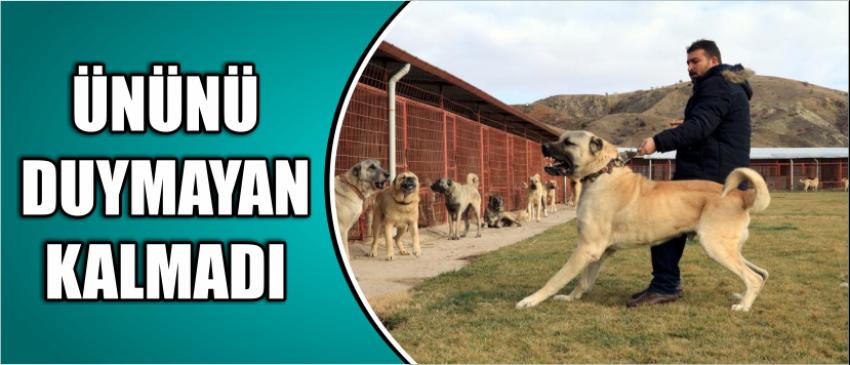 Ününü Duymayan Kalmadı