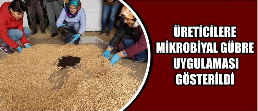 Üreticilere Mikrobiyal Gübre Uygulaması Gösterildi