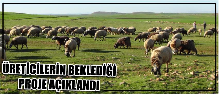 Üreticilerin Beklediği Proje Açıklandı