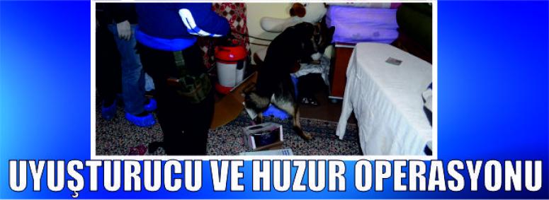 Narkotik Köpeği Manas Bu Kez Ortaköy'de İş Başında