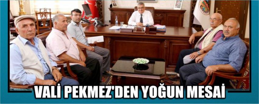 Vali Pekmez'den Yoğun Mesai
