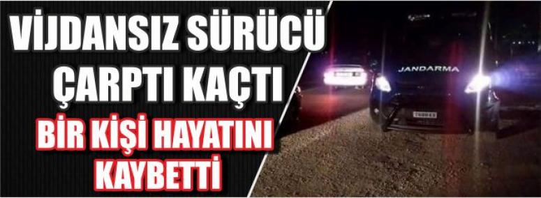 Vijdansız Sürücü Çarptı Kaçtı