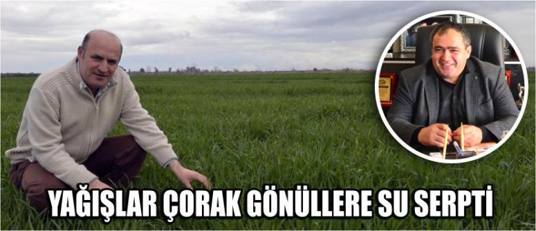 Yağışlar Çorak Gönüllere Su Serpti