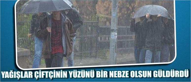 Yağışlar Çiftçinin Yüzünü Bir Nebze Olsun Güldürdü