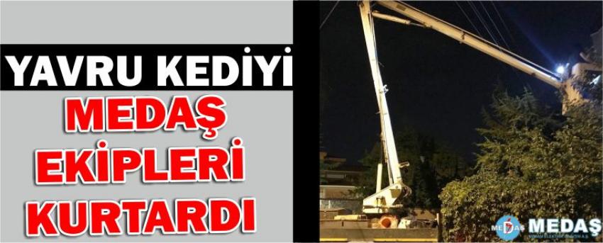 Yavru Kediyi Medaş Ekipleri Kurtardı 