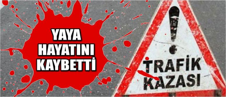 Otomobilin Çarptığı Yaya Hayatını Kaybettiği
