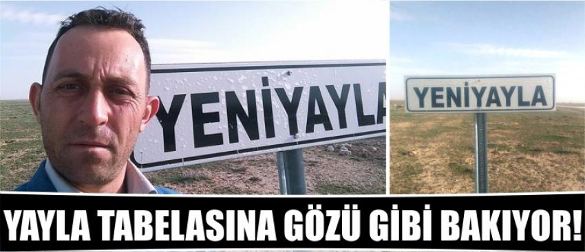 Yayla Tabelasına Gözü Gibi Bakıyor!
