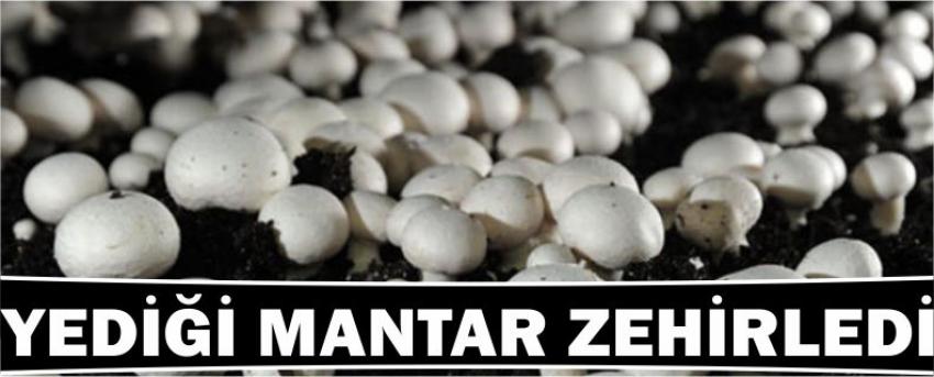 Yediği Mantar Zehirledi