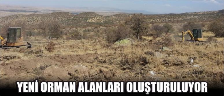 Yeni Orman Alanları Oluşturuluyor