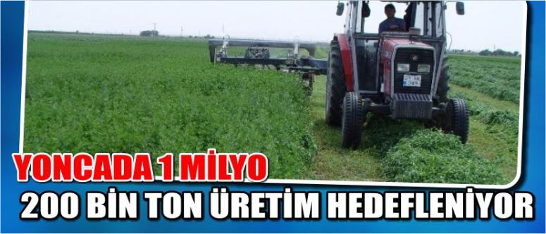 Yoncada 1 Milyon 200 Bin Ton Üretim Hedefleniyor
