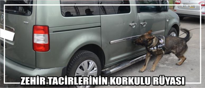 Zehir Tacirlerinin Korkulu Rüyası