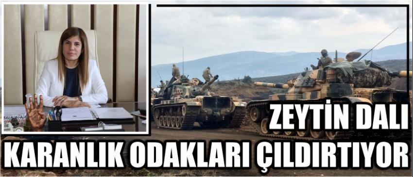 Zeytin Dalı Karanlık Odakları Çıldırtıyor