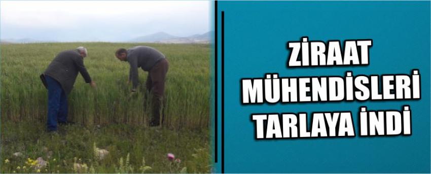 Ziraat Mühendisleri Tarlaya İndi